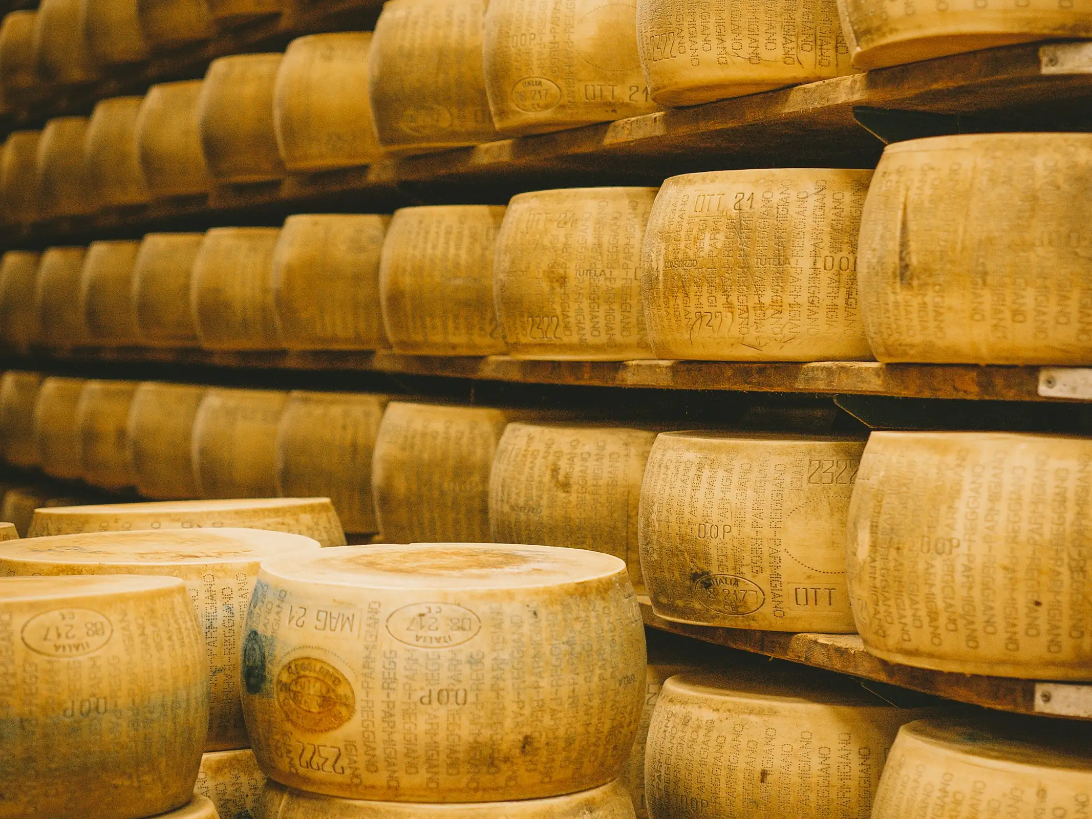 Reihen von Käselaiben reifen auf Holzregalen in einem Käselager.